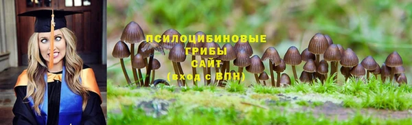 2c-b Иннополис