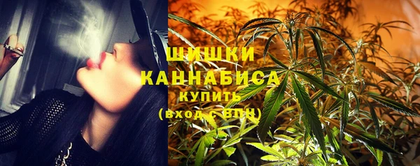 ECSTASY Инта